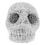 Homeware White & Grey Crystal Skull