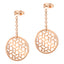 Vega Polished Rose Gold Plated Stainless Steel Earrings