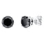 6.61ct black diamond four claw stud earrings in 18k white gold