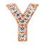 Letter Y Locket Charm with white crystals in rose gold colour