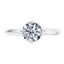 Round Brilliant Platinum Diamond Engagement Ring.