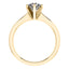 6 Claw Delicate Round Brilliant Diamond Engagement Ring in 18ct Yellow Gold