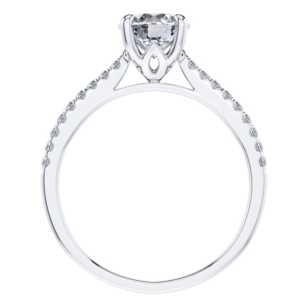 Stunning Round Brilliant Diamond 4 Claw Engagement Ring with side diamonds Set in Platinum.